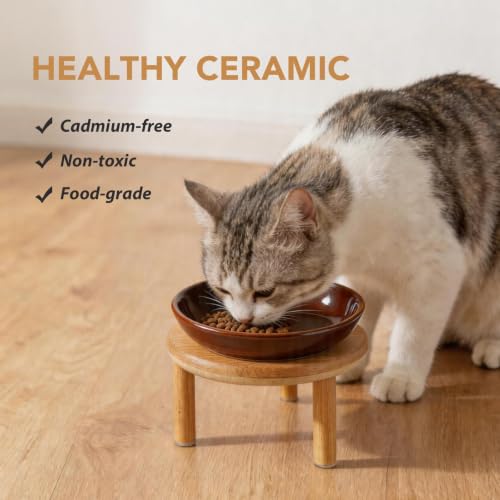 Havniva Elevated Cat Bowls, Ceramic Cat Bowl with Bamboo Stand Wide Opening | 5.7” Raised Cat Food Bowls, Whisker Friendly Cat Dish, Anti-Slip Cat Water Bowls, Shallow Cat Bowls, Cat Food & Water Bowl - color: Brown