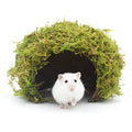 Hamster Hideout - Large, Natural Moss, Handcrafted for Syrian Hamsters, Rats & Guinea Pigs, Safe & Eco-Friendly - size: Cave, Large