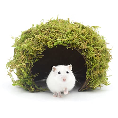 Hamster Hideout - Large, Natural Moss, Handcrafted for Syrian Hamsters, Rats & Guinea Pigs, Safe & Eco-Friendly - size: Cave, Large