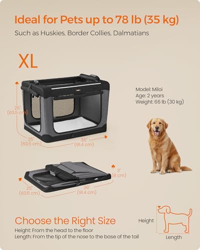 Feandrea Collapsible Dog Crate, Portable Travel Crate, 36-Inch | Oxford Fabric Pet Carrier with 4 Mesh Doors, Handles, Storage Pocket, Water Bottle Holder, UPDC019B01 - size: XL（36"L x 25"W x 25"H)
