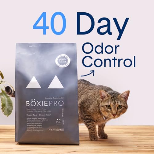 Boxie® Probiotic 40 Day Natural Odor Control Cat Litter, 16lb Clumping Clay Kitty Litter (Pack of 2) - size: 16 Lb (Pack of 2)