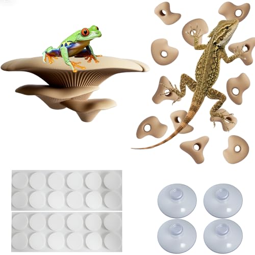Mushroom Terrarium Decor & Climbing Hold Kit,with 12 Rock Holds, Suction Cups & Adhesive Dots for Geckos, Frogs, Small Lizards & Snakes in Dry/Semi-Moist Habitats (Desert Beige) - color: Desert Beige