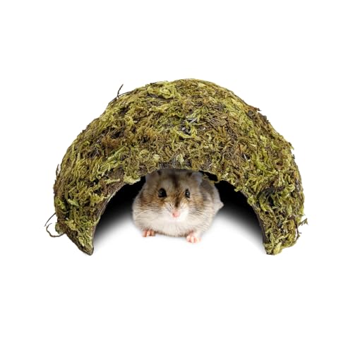 BNOSDM Hamster Hideout Natural Mossy Cave Hamster Houses and Hideouts Moss Covered Coconut Enclosed Hiding Hut for Mice Habitat Hamster Cage Accessories for Dwarf Gerbil Syrian Fancy Mouse - size: Small-1Pcs