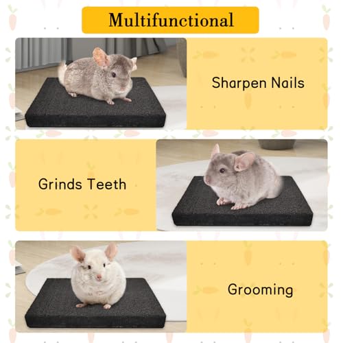 BNOSDM 2Pcs Chinchilla Scratch Foot Pads Hamster Grinding Claw Pads Natural Bunny Lava Stone for Teeth Rabbit Scratching pad Chew Toy for Guinea Pig Ferret Rabbit Mouse(Black) - color: Black 2x Small