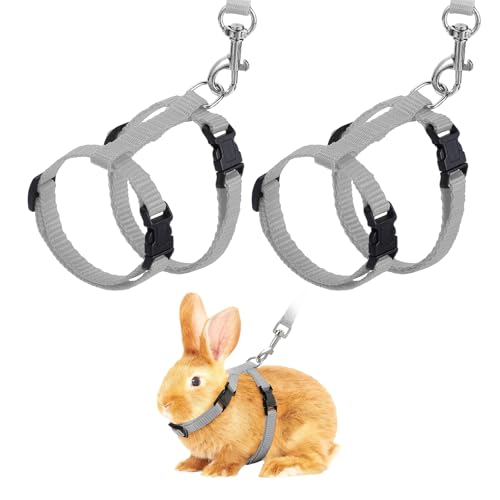 Rabbit Harness and Leash, Escape Proof Bunny Cat Leash Small Animal Harness Soft Adjustable Buckle(2Pcs, Gray) for Bunny Kitten Cats Puppies Walking Hiking Training - color: Gray
