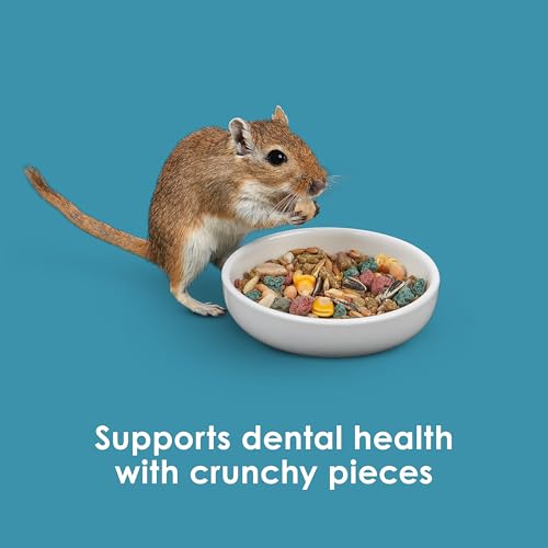 Kaytee Forti-Diet Pro Health Nourish+Protect Hamster and Gerbil Food, Comprehensive Nutrition Backed by Science, Digestive Health, Immune Support, 3 Pounds - size: 3 Pound (Pack of 1)