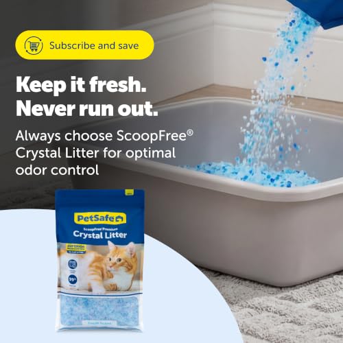 PetSafe ScoopFree Odor Control Crystal Cat Litter, Fresh Scent, 8 Lb Bag | 5x Faster Odor Control than Clumping Clay Litter, 99% Dust-Free, Low Tracking Crystals, Compatible with Any Cat Litter Box - size: 1-Pack (8 lb Bag)