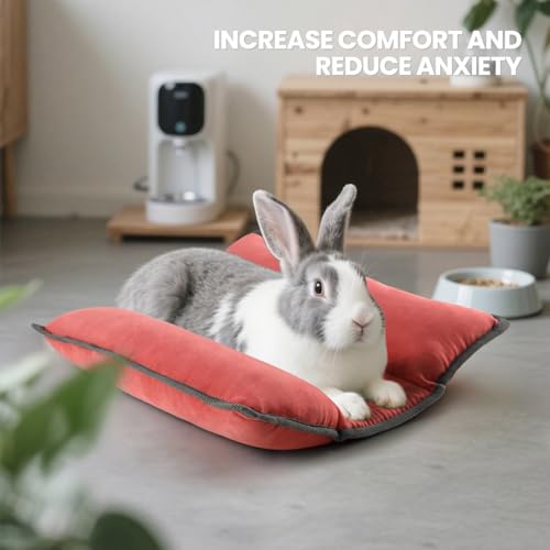 Rabbit Bed, Washable Bunny Pillow, Reversible Lounger Pad, Soft Small Animal Bedding, Stress Relief Pet Mat for Kittens, Guinea Pigs, Puppies - color: Light Red