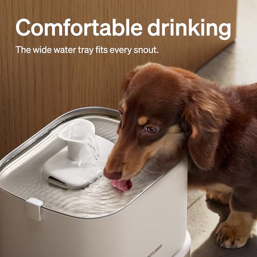 PETLIBRO Quiet Dog Water Fountain Stainless Steel Tray, Smart Pet Water Fountain for Dogs Inside with App Monitoring, 3L Dog Fountain Water Bowl, Automatic Water Dispenser for Dogs, Cat Water Fountain - size: Fountain