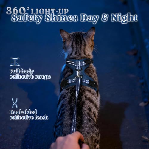 rabbitgoo Cat Harness and Leash Set, Easy-on with Neck Buckle, Navy Blue | Escape Proof, No Over-the-head, Soft Air Mesh, 3 Lockable Adjusters & Buckles, Reflective, for Kittens & Small Cats Walks, Xs - color: Navy Blue, size: Xs