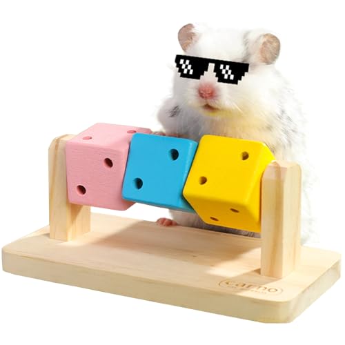 Hamster Enrichment Toys, Hamster Chew Toys, Wooden Small Animal Cage Accessories, for Syrian & Dwarf Hamsters, Gerbils, Rats
