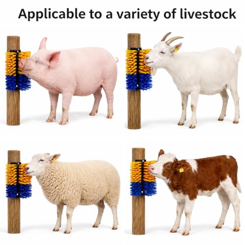 Toys for Pigs - Piglets Accessories for Stress and Boredom Relief, Self-Grooming Scratch Brush for Farm Pigs, Goats & Sheep, Stiff Bristles, Post, Fence or Wall Mounted