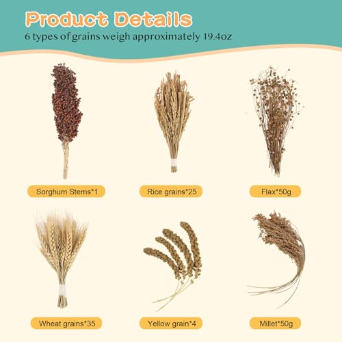 Hamster Spray Set - Natural Snack Grains & Chew Toys for Cage Decoration Accessories, Soft Bedding for Dwarf Syrian Hamsters, Gerbils, Mice & Small Pets - size: 6 Kinds of Grains