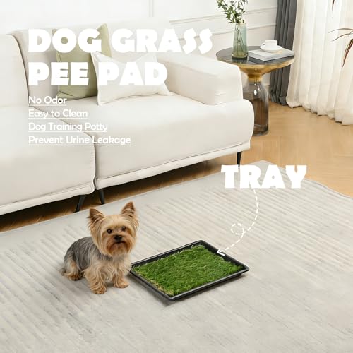MEEXPAWS Dog Grass Pee Pads for Dogs with Tray | Extra Small 17 x 13 in for Puppy Less Than 6 lbs | 2× Artificial Grass Pads Replacement | Rapid Drainage | Indoor Dog Litter Box | Hemmed Edge - size: Small - 18 x 14 inch