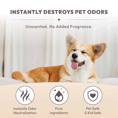 Pet Safe Odor Eliminator for Home - Multi-Purpose Deodorizer Spray for Cat Litter Box, Dog Poop, Urine Smells, Carpet, Car, Room | Unscented, Non-Toxic, Fragrance-Free, Lab-tested (10.1 Oz)