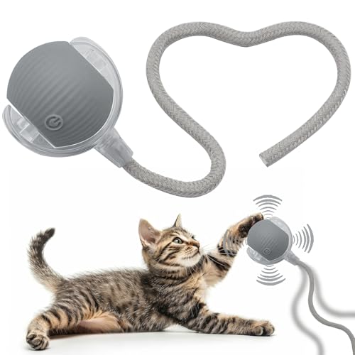 Interactive Cat Dog Toy Ball with LED Light, Automatic Rolling(Grey) | String Tail and LED Light Design, Motion Activated, Suitable for Interactive Indoor Pet Play and Exercise - color: Grey