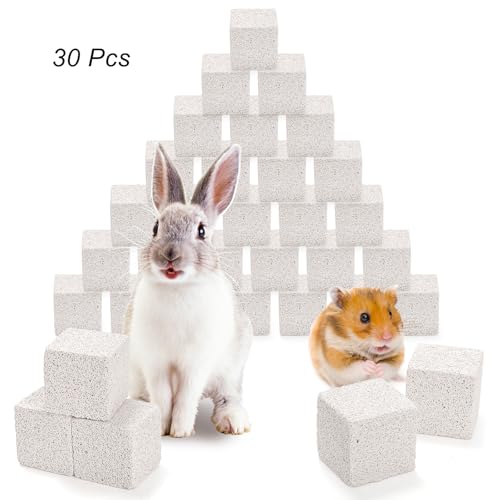 DEAYOU 30 Pack Small Animal Lava Bites, Hamster Teeth Grinding Block, Bunny Chew Toys, Natural Mineral Calcium Square Stone for Chinchilla, Squirrel, Rat, Parrot, Rabbit, Guinea Pig, 1.57"×1.57"×1.57"