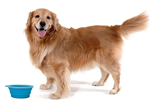 Prima Pet Collapsible Silicone Water Travel Bowl with Clip for Dog and Cat, Portable and Durable Pop-up Feeder for Convenient On-The-go Feeding – Size: Large (5 Cups) Aqua – 2 Pack - color: AQUA, size: LARGE (5 CUPS) - 2 PACK