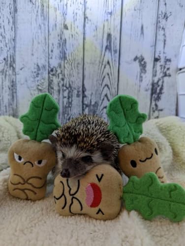 Emotional Mandrakes Trio Set Chibi Kawaii Mint Stuffed Fleece Hedgehog Rat Guinea Pig Degus Chinchilla Enrichment Toy Small Animal Photo Prop Cage Buddy Mint Stick Alternative