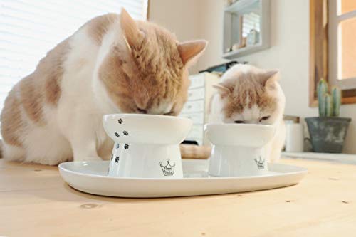 Necoichi Raised Cat Bowl Dining Tray (Bowl Set with Dining Tray)