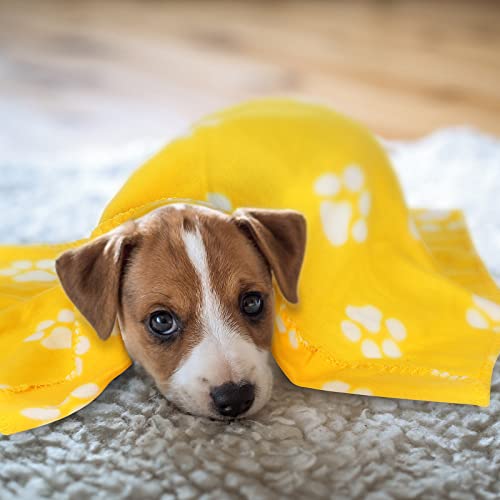 Tatuo 10 Pieces Pet Blankets with Paw Print Dog Cat Fleece Blankets Soft Warm Sleep Mat Pad Bed Cover for Kitten Puppy and Other Small Animals, 24 x 28 Inch(Bright Color) - color: Bright Color