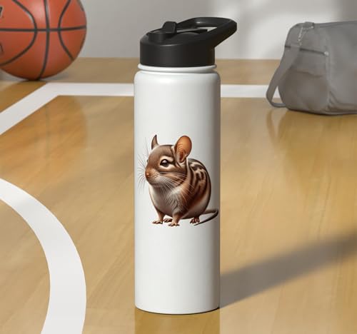 Degu Design Stainless Steel Insulated Water Bottle - color: White