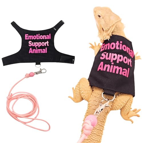 Bearded Dragon Lizards Clothes with Leash Set for Small Pets Reptiles Guinea Pig Apparel Lizards Outdoor Walking Training Harness Leash Hand-Made Costume Photo Prop (Pink) - color: Pink