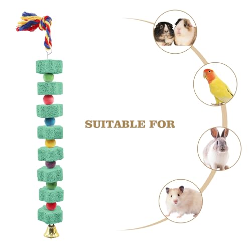 Oooct 2 Pack Large Chicken Chewing Toy, Chick Beak Grinding Calcium Stone with Bells, Chicken Cage Accessories, Cage Toys for Cockatiel Parakeet Parrot Budgies Rat Hamster Rabbit Bunny African Grey - color: Green