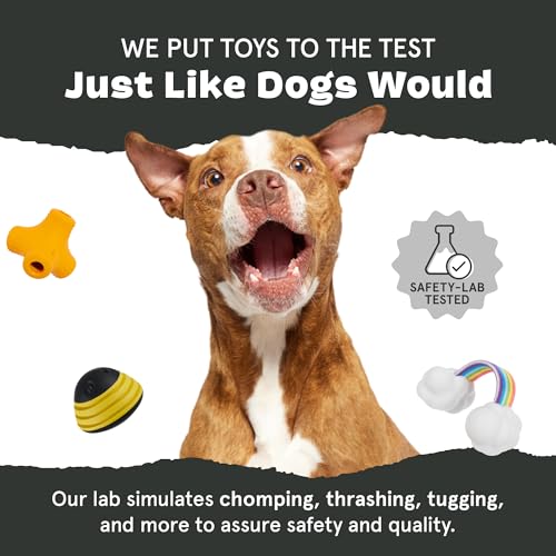 BarkBox Sven the Hedgie Rubber Dog Toy - Toy for Small Dogs | Squeaky Natural Rubber Chew Toy with Soft Spike Textures | Durable - color: Sven the Hedgie - Small
