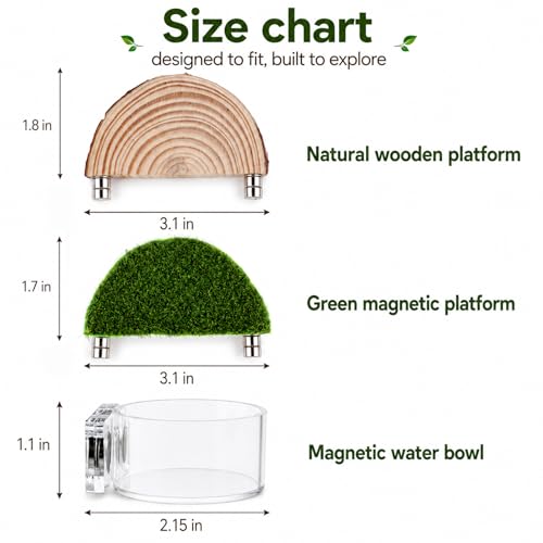 2 in 1 Jumping Spider Enclosure Accessories - Magnetic Feeding Dish with Jumping Wood Ledges | Acrylic Water Bowl Food Dish Habitat Decor for Tarantula Small Spider Reptile