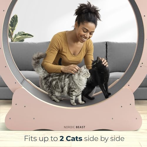 Pink 48'' XL Cat Wheel – Safe, Quiet & Stable Exercise Wheel for Large Indoor Cats up to 45 lbs – 15.7'' Extra-Wide Surface Fits 2 Cats Side by Side & Prevents Wobbling, 1-Year Warranty - color: Pink