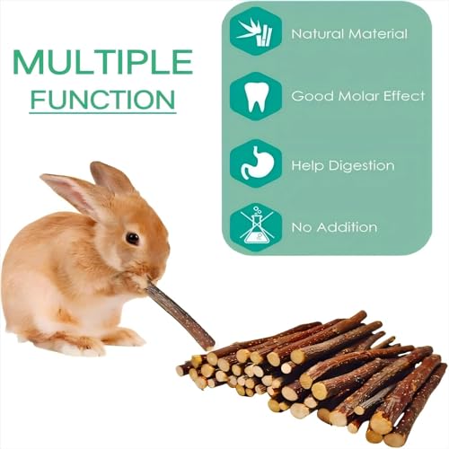 Apple Wood Sticks for Chinchilla,Chew Toys and Treats for Rabbit | Natural Chew Toys For Guinea Pig Hamster Gerbil Rabbit, Chew Toys for Teeth (Thin 600g-21oz) - style: Thin-21oz
