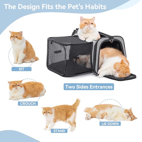 Petsfit 19"X12" X12" Expandable Pet Carrier, Square Expansion Reduces Pet Anxiety, Escape-Proof Self-Locking Zippers, 3 Easy-Access Entrances, for Cats & Small Dogs up to 18 lbs - color: Gray, size: 19.0"L x 12.0"W x 12.0"H