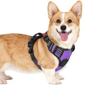rabbitgoo Dog Harness Small Sized, Updated Easy On & Off with 3 Buckles | No Pull No Choke, Walking with 2 Clips and Handle, Adjustable Soft Reflective, Purple, Small - color: Purple, size: Small