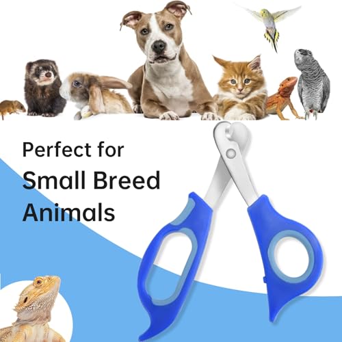 KEUYE Bearded Dragon Nail Clippers,Stainless Steel Bearded Dragon Toe Nail Clippers with Precise Angled Edges (Blue) - color: Blue