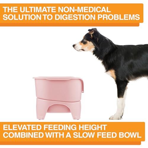 Neater Feeder Express Mess Proof Dog Bowls Elevated for Medium and Large Breed – Made in USA – No Spill Raised Slow Feeder Elevated Dog Bowl Stand, Slow Feed Food and Water Bowl Set, Pink - color: Pink, size: Medium to Large w/ 9 Peak Slow Feed Bowl