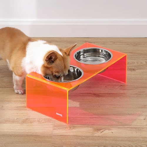 DBL2001E Keaton 7.5" Medium/Large Modern Acrylic Rectangular Elevated Pet Feeder with 54oz 2-Stainless Steel Bowls, Pink/Chrome - color: Pink/Chrome, size: 54 Ounces (7.5" Cups 2-Pack)