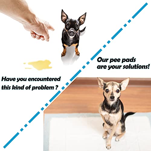 Rabbit Pee Pads Bunny Toilet/Potty Training Pad Super Absorbent Cage Liner | Squirrel Guinea Pig Hedgehog Hamster Chinchilla Puppy Incontinence Underpads Ultra Absorbent & Quick-Dry, 13"x18" 20 Pcs - size: 13" x 18" 20-Count