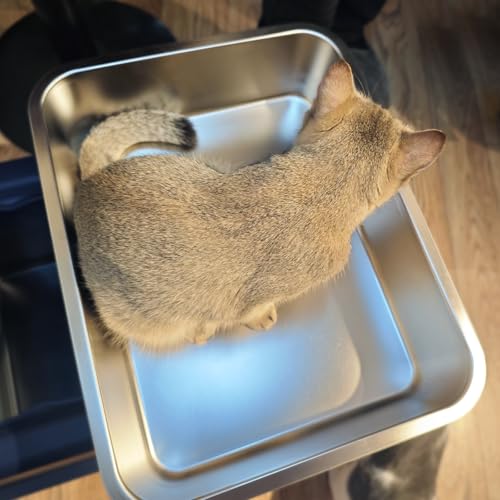 Stainless Steel Cat Litter Box,Extra Large Metal Litter Box,18Lx14x4 in | Extra Large Metal Litter Tray for Big Cats Kitty Rabbits,No Smell,Non Stick,Easy to Clean - color: 4"H, size: 18"L x 14"W