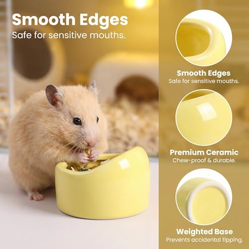 2 Pack Ceramic Hamster Food Bowl, Splash-Proof, Tip-Proof, Chew-Resistant, Easy to Clean Small Animal Bowl for Hamster/Guinea Pig/Chinchilla/Hedgehog (2, M (Diameter 2.95 in)) - size: M (Diameter 2.95 in )