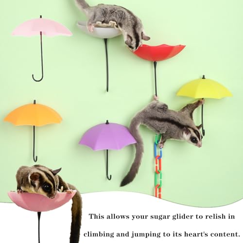 3 PCS Sugar Glider Platform Professional Sugar Glider Toys Cage Accessories with C-Clips Climbing Chain for Birds, Sugar Glider, Pet