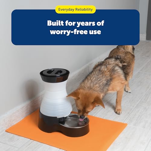 PetSafe Healthy Pet Water Station, 320 oz, Stainless Steel Bowl, Large | Gravity-Fed Pet Water Fountain Keeps Cats or Small Dogs Hydrated, Stainless Steel Bowl Is Dishwasher Safe - size: Large