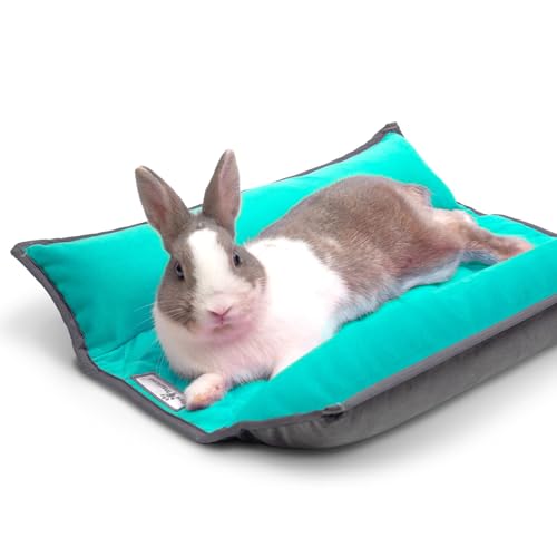 Paw Inspired Snuggle Bunny Bolster Bed, Gray/Green, 17x17 Inch | Reversible Flop Mat, Ultra-Soft Fleece Bedding with Padded Sides for Rabbits, Cats, Dogs, Small Pets and Animals - color: Gray/Green