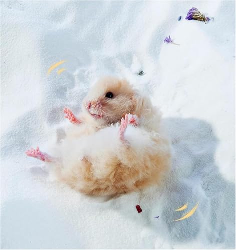 Meow&Woof Hamster Sand Bath Container, Large Sandbox Toilet Gerbil Batheoom, Tiny Chinchilla Dust Bathtub Sand Bath Box for Hamster Cage Accessories 6.5 Inch-White