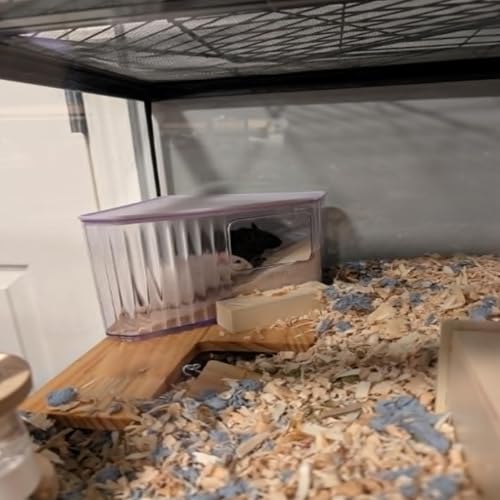 Hamster Toilet Sand Bath Box,Small Animal Bathroom & Digging Room Hamster Sand Bath Container Acrylic Critter's Sand Bath Shower Room Dwarf Syrian Rat Hideaway Gerbil, SyrianHamster,Guinea Pigs