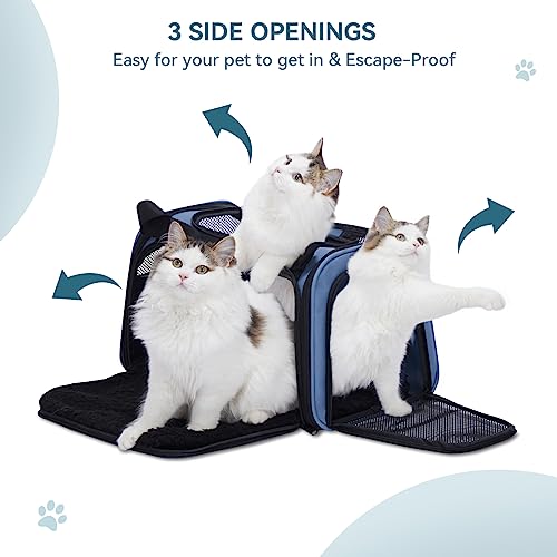 PETSFIT Pet Carrier, Blue, Small and Medium Cats, Puppies Up to 12 Lbs | Dog Carrier, Airline Approved, Collapsible Soft Sided, TSA Approved, Cat Travel Carrier - color: Blue, size: Medium