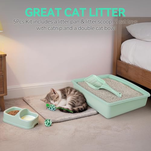 Pawise Newborn Small Cat Litter Box Kit for Kittens – 5‑Piece Kit with Shallow Cat Litter Pan, Feeding Bowls, Scooper, Kitten Starter Kit Mouse Toy, 14.5x10.5 Inches, Green - color: green