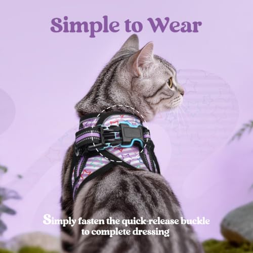 rabbitgoo Cat Harness and Leash Set, Step-in Soft Vest, Stars & Stripes | Escape Proof, Lightweight, Easy-on & Adjustable, Hook & Loop with Buckle, Reflective, for Kittens & Small Cats Walks, S - color: Stars & Stripes, size: S