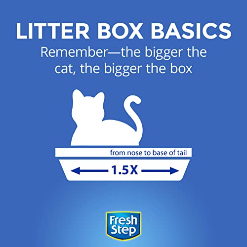 Fresh Step Cat Litter, Unscented, Odor Control | Clumping Formula | Activated Charcoal | 14 lb | Pack of 2 - size: 14lb (Pack of 2)