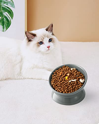 LoeJan Elevated Cat Food Bowl, 5 Oz Ceramic Raised and Tilted Water Bowl, Anti Vomiting and Protect Pets' Spines Dishes for Small Dog, Fat Faced Cat, Kitten (Gray, 1 Pack) - color: Gray